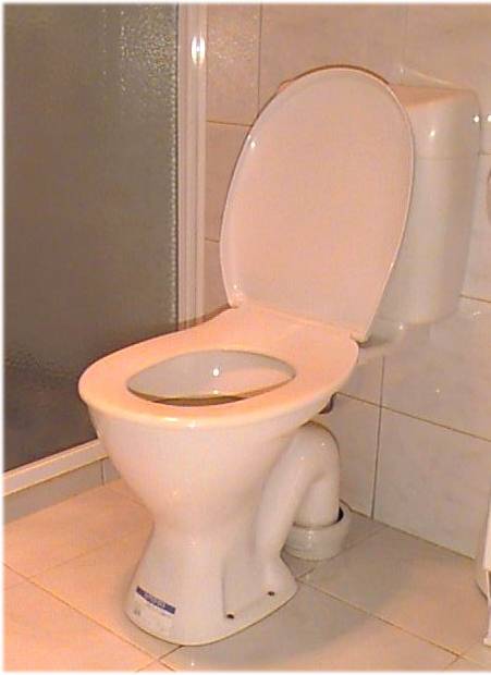 Toilet1.jpg